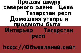 Продам шкуру северного оленя › Цена ­ 20 000 - Татарстан респ. Домашняя утварь и предметы быта » Интерьер   . Татарстан респ.